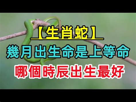 屬蛇男配對|生肖配對｜屬蛇12生肖夫妻配對表！最佳姻緣及相沖排